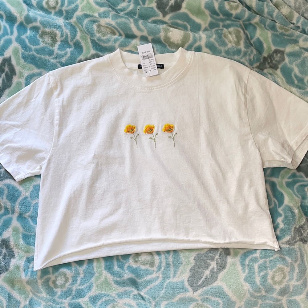Brandy Melville Cropped T shirt